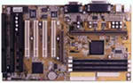Motherboard ACORP 6BX81